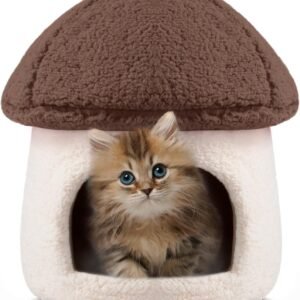  Modern mushroom Cat House