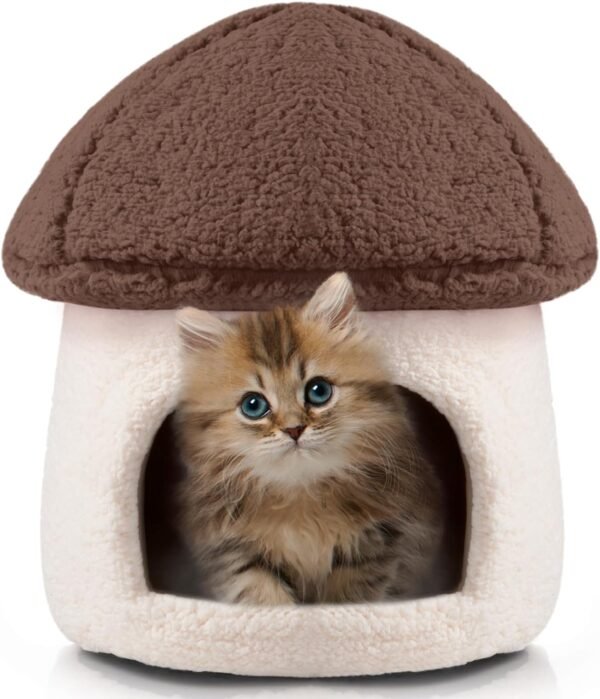  Modern mushroom Cat House